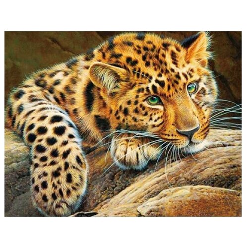 Цветной Набор алмазной вышивки Африканский леопард LG020 40х50 см