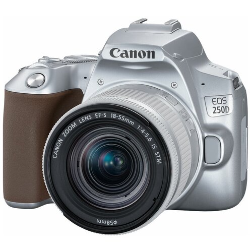 Фотоаппарат Canon EOS 250D Kit серебристый EFS 1855mm f456 IS STM