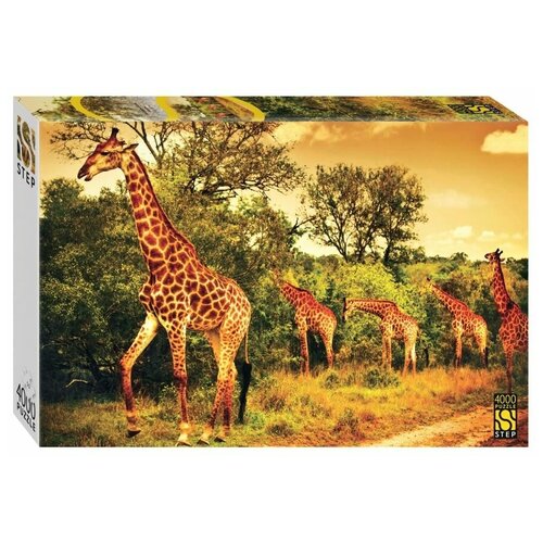 Пазл 4000 Южноафриканские жирафы  Step Puzzle