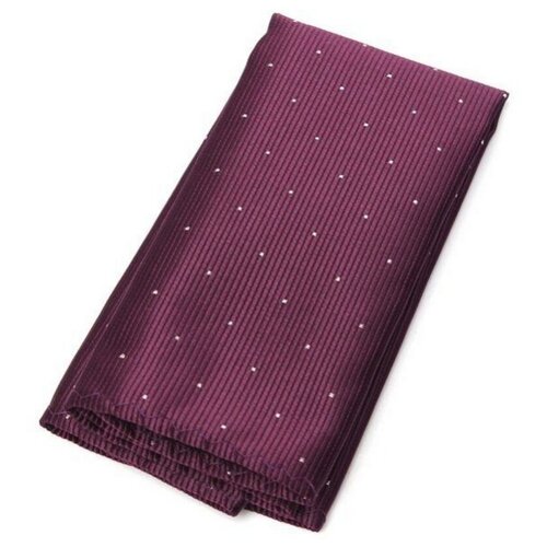 Нагрудный платок паше мужской в мелкий горошек фиолетовый