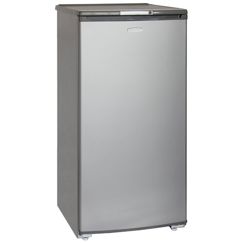 Холодильник Бирюса M10 Металлик