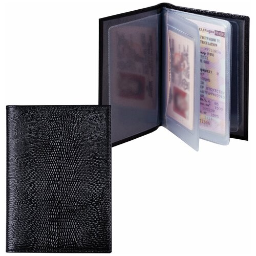 Бумажник водителя BEFLER Ящерица, натуральная кожа, тиснение, 6 пластиковых карманов, черный, BV.13