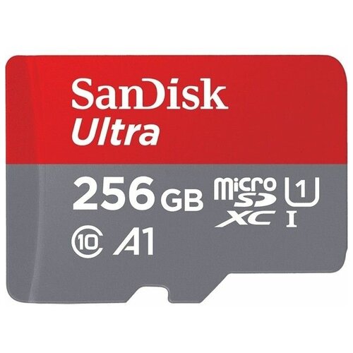 Карта памяти microSDHC SanDisk A1 256GB class10 120 мгбит без адаптера