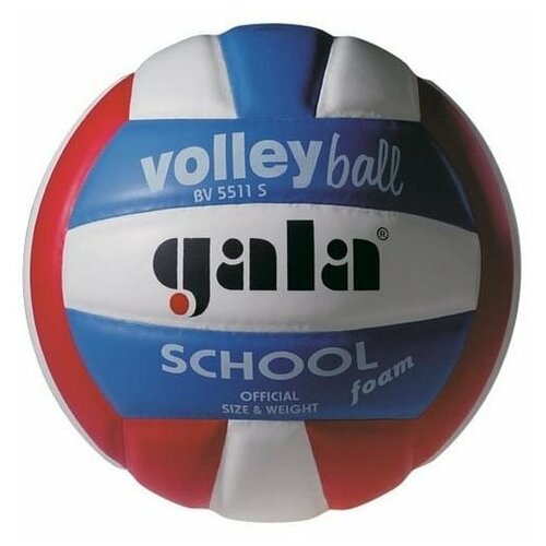 Мяч волейбольный Gala School Foam Colour арт. BV5511S р. 5 1106698)
