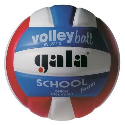 Мяч волейбольный Gala School Foam Colour арт. BV5511S р. 5